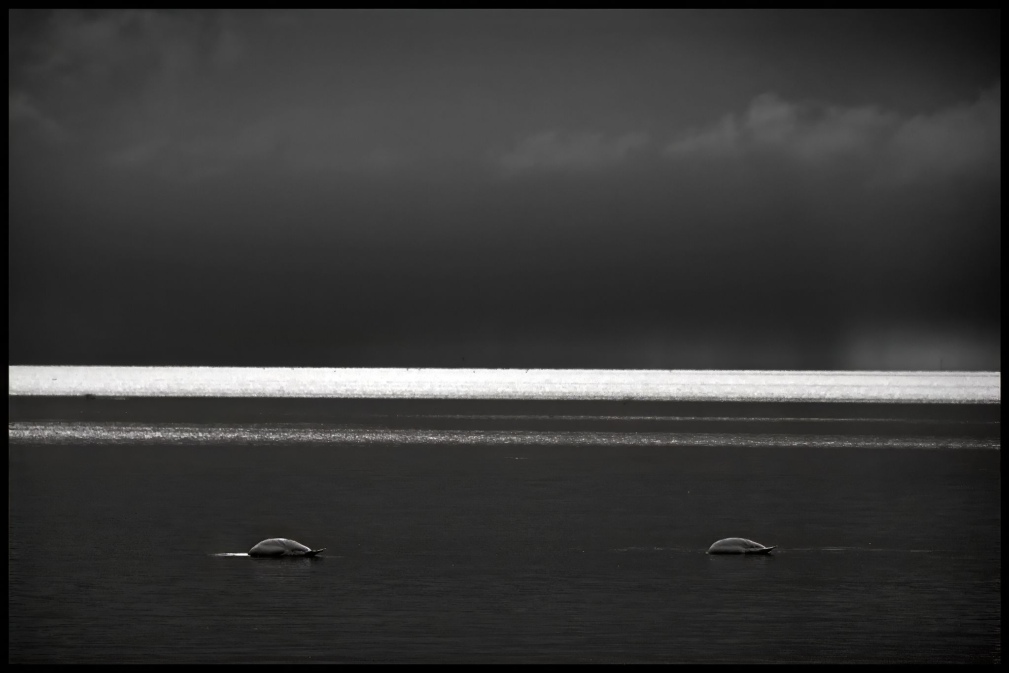 DSC 0111 topaz denoise sharpen upscale 2x