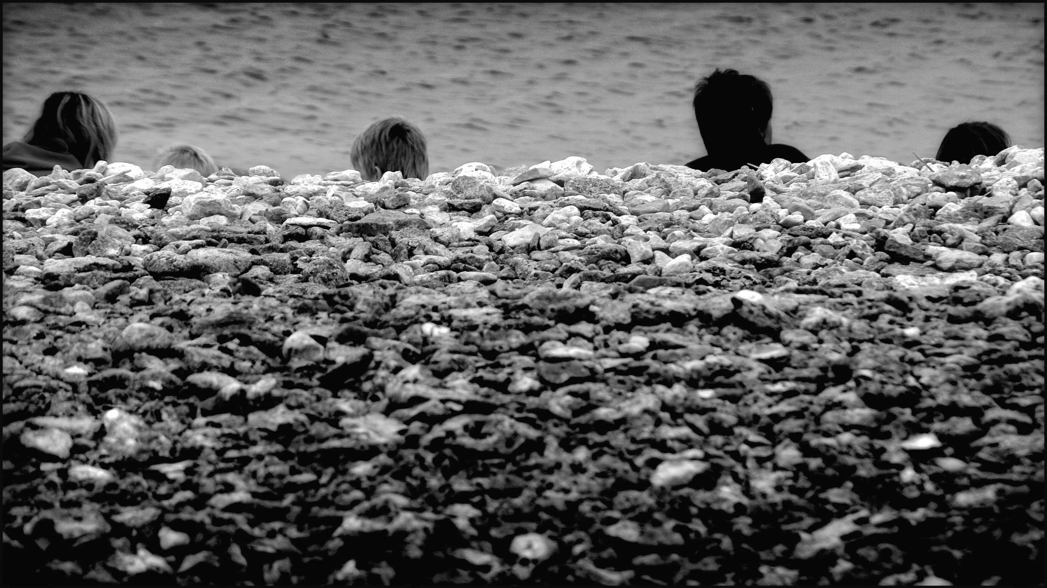 46546873305 7f5c8b90d4 o