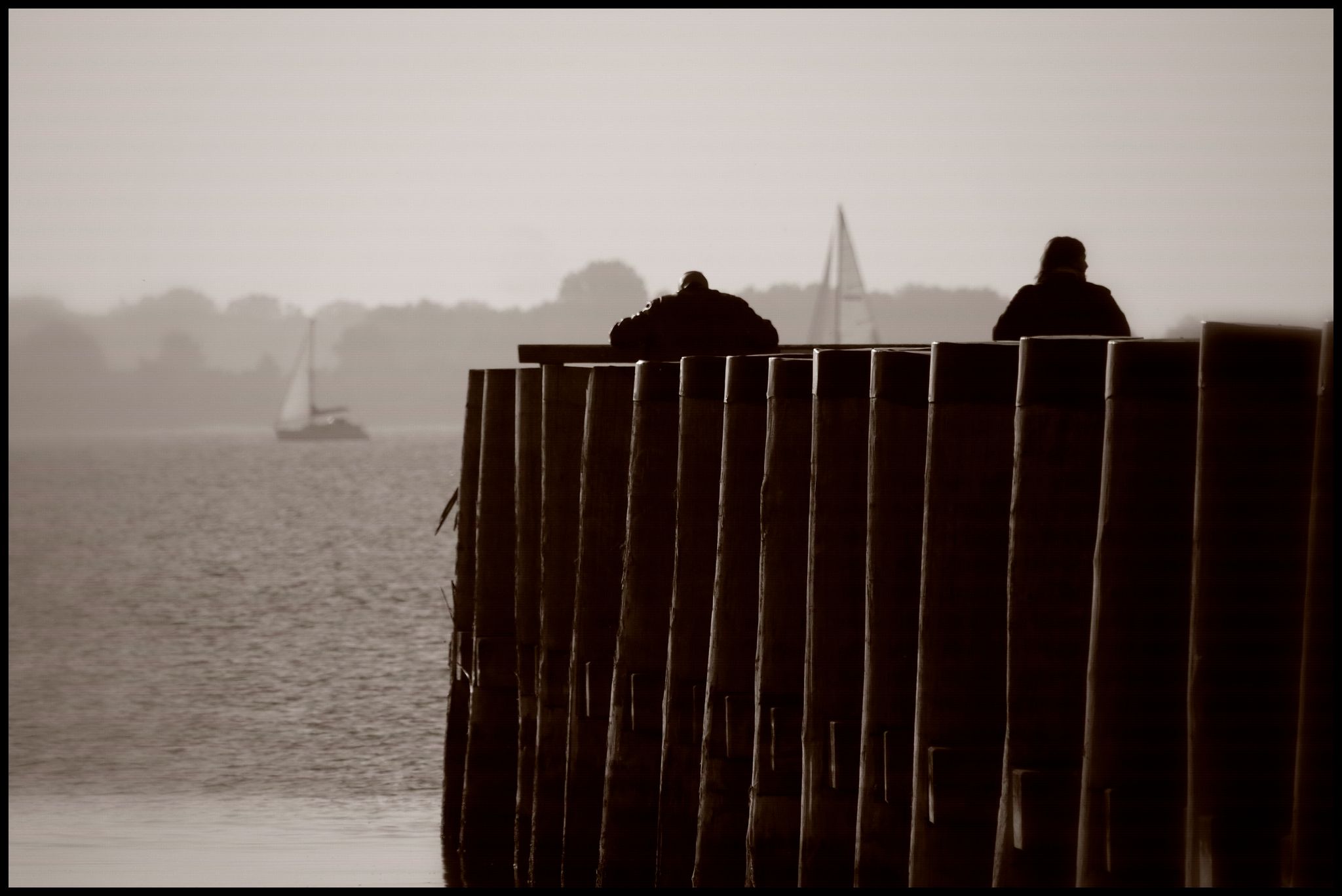 46739054204 b56f7cb19b o