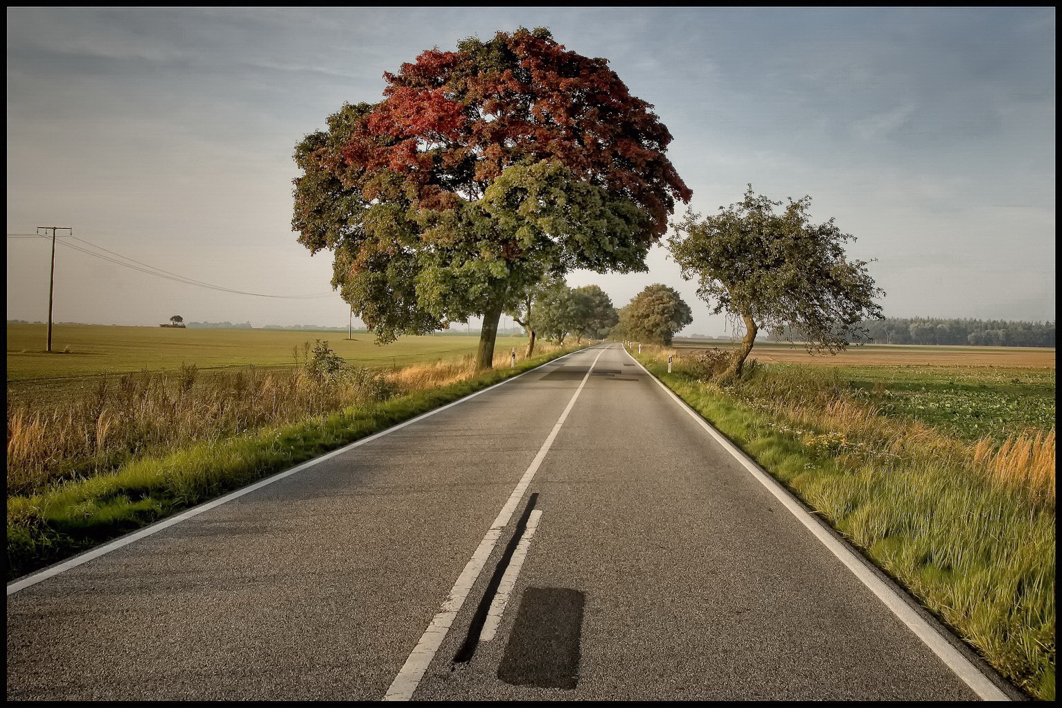  0000021 46546893625 o