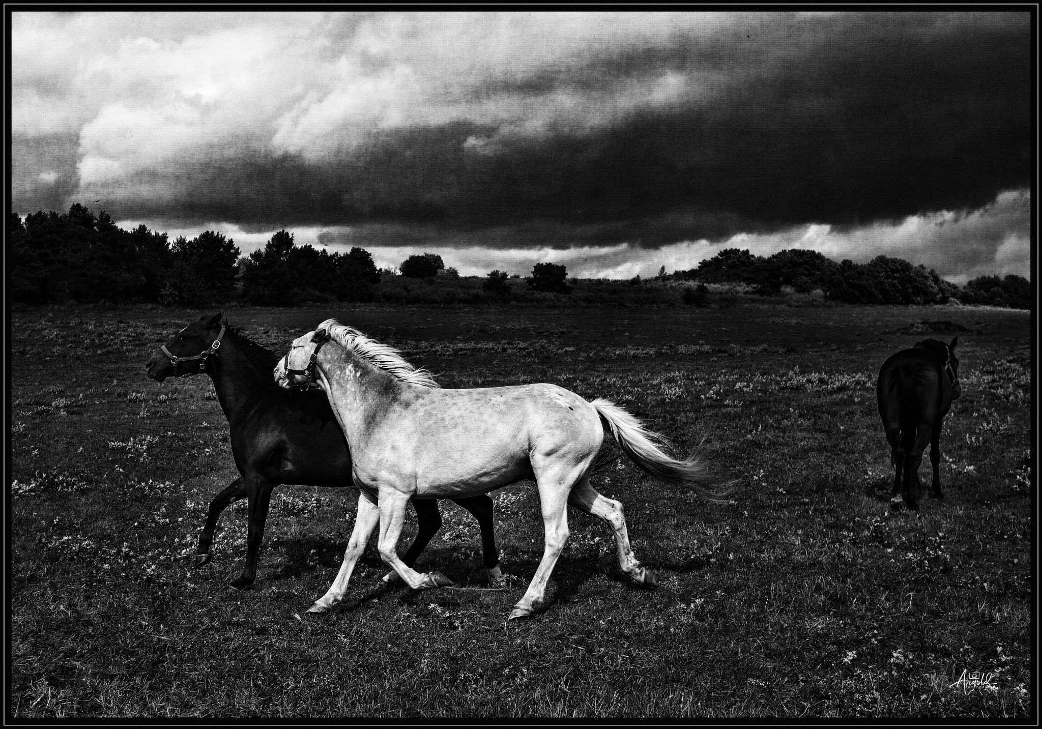  1000763 49752338356 o