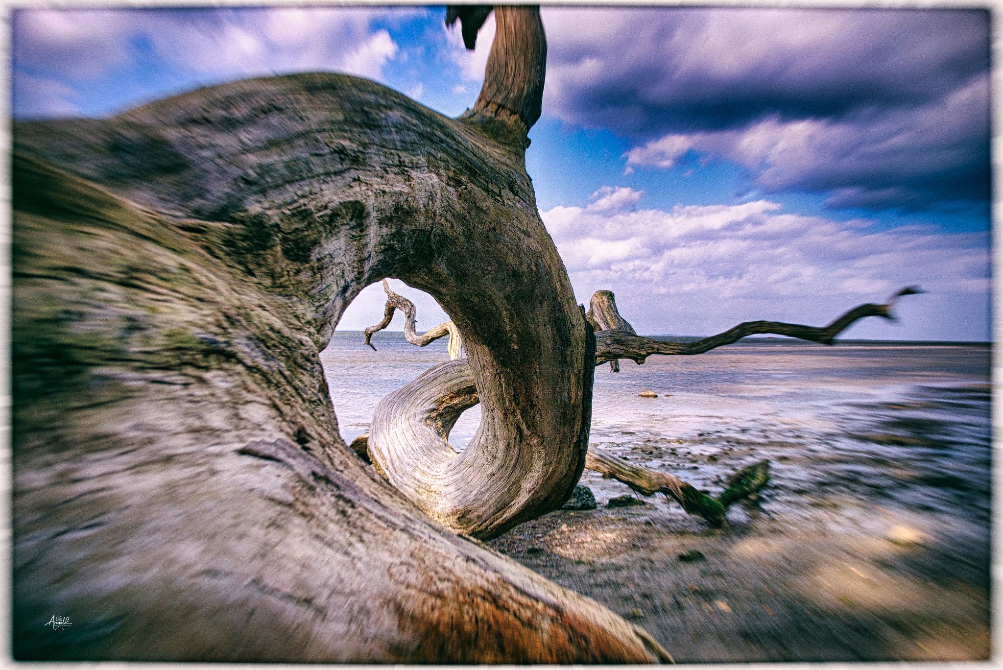  1010016 2 52235347037 o