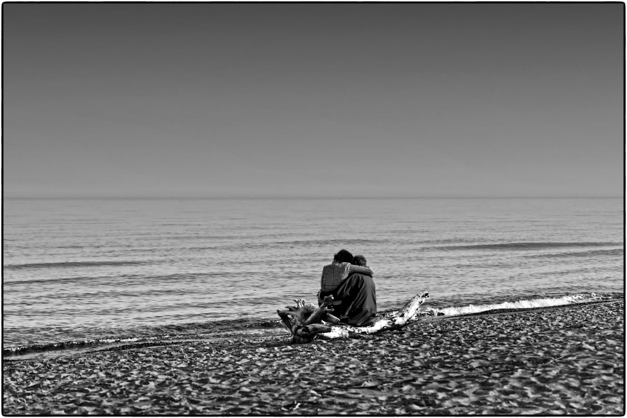  1020304 31005744071 o