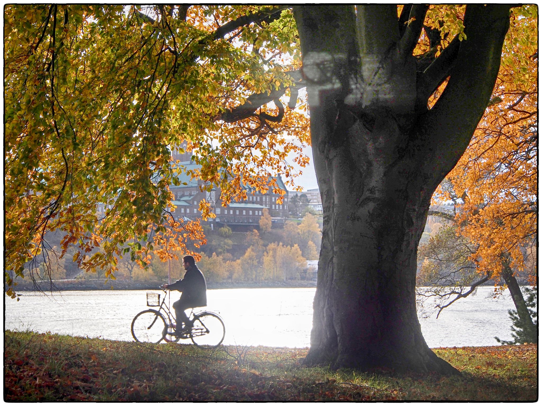  a270089 31915933850 o