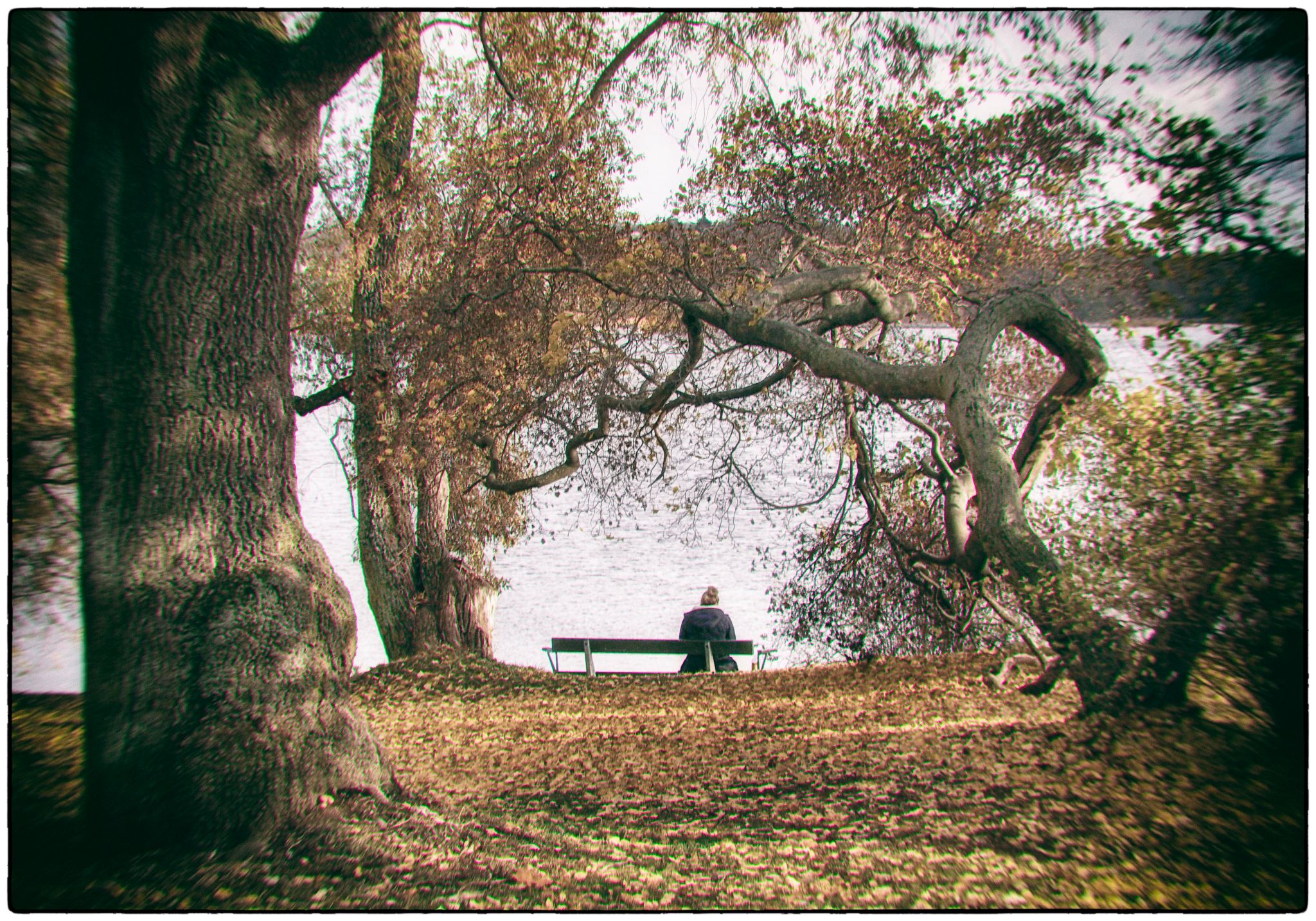  a290030 32142965702 o