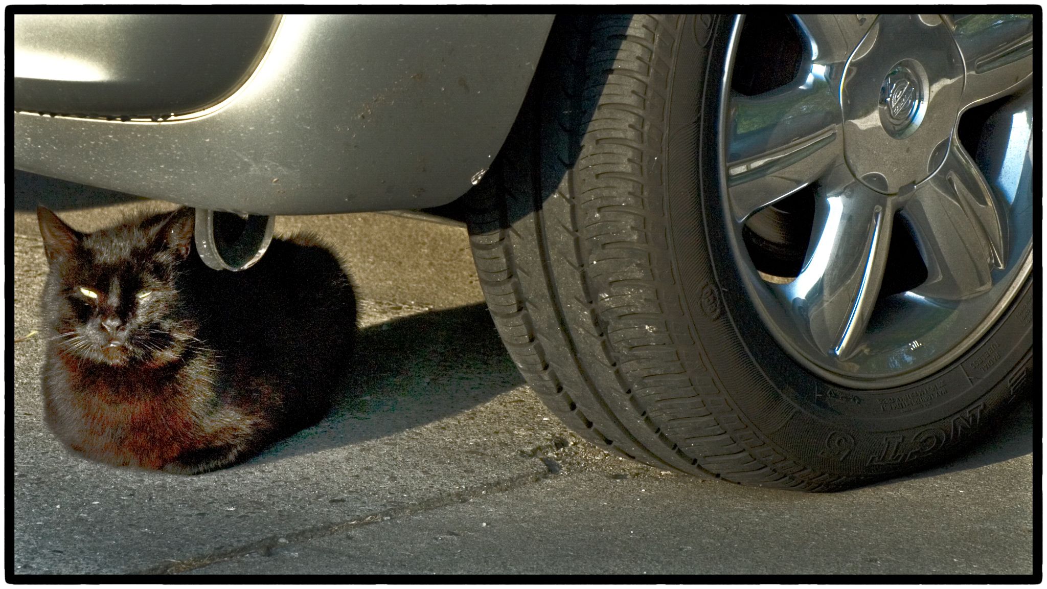  dsc0012 32253539686 o