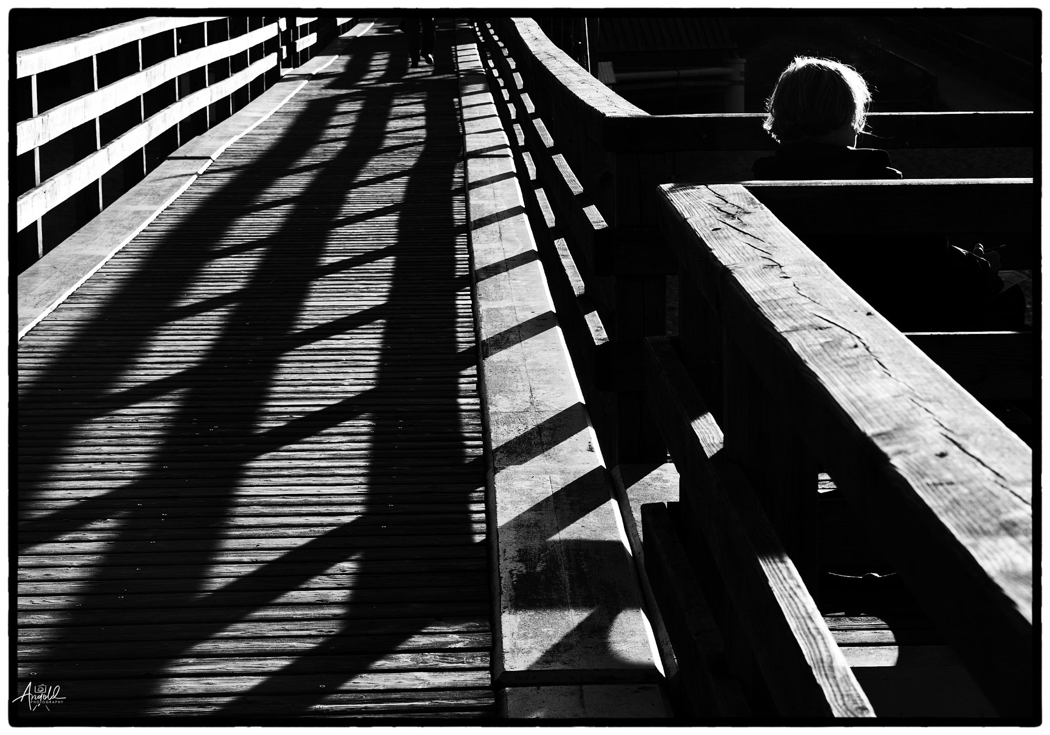  dsc0042 52236606299 o