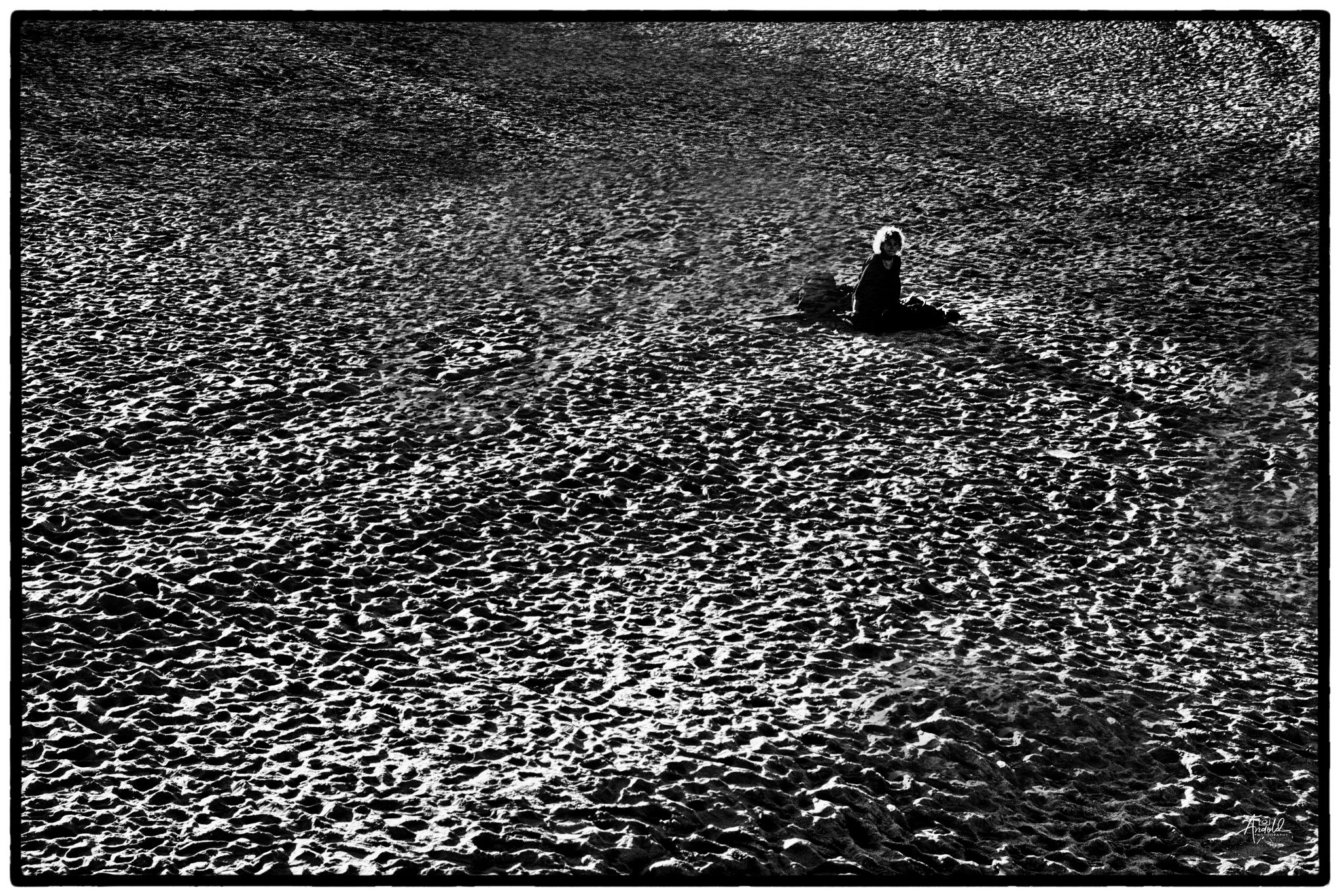  dsc0044 52236328261 o