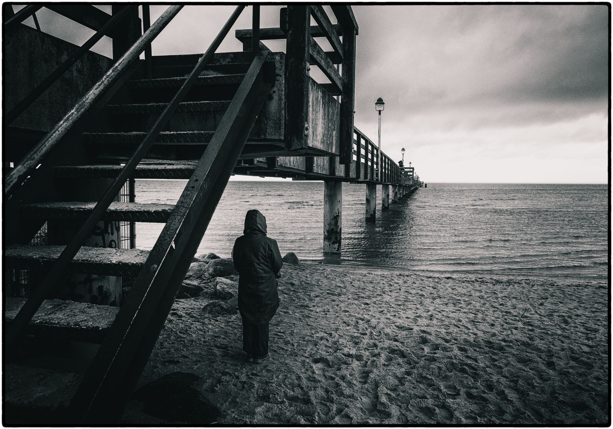  dsf0072 50442376641 o