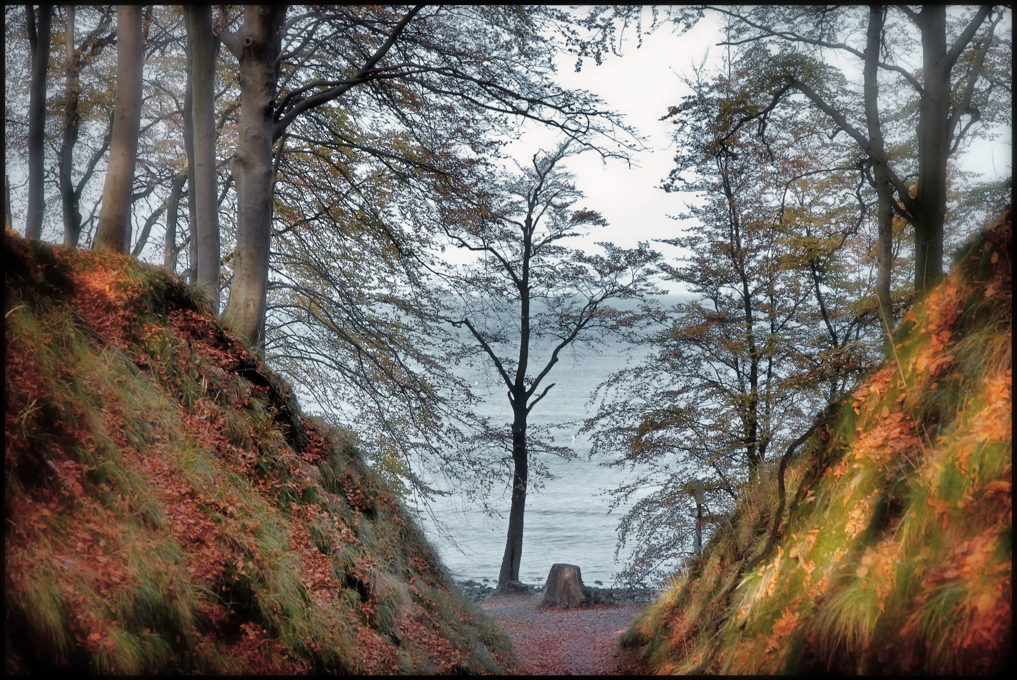 Dsc 0110 dxo   kopie 52236602489 o