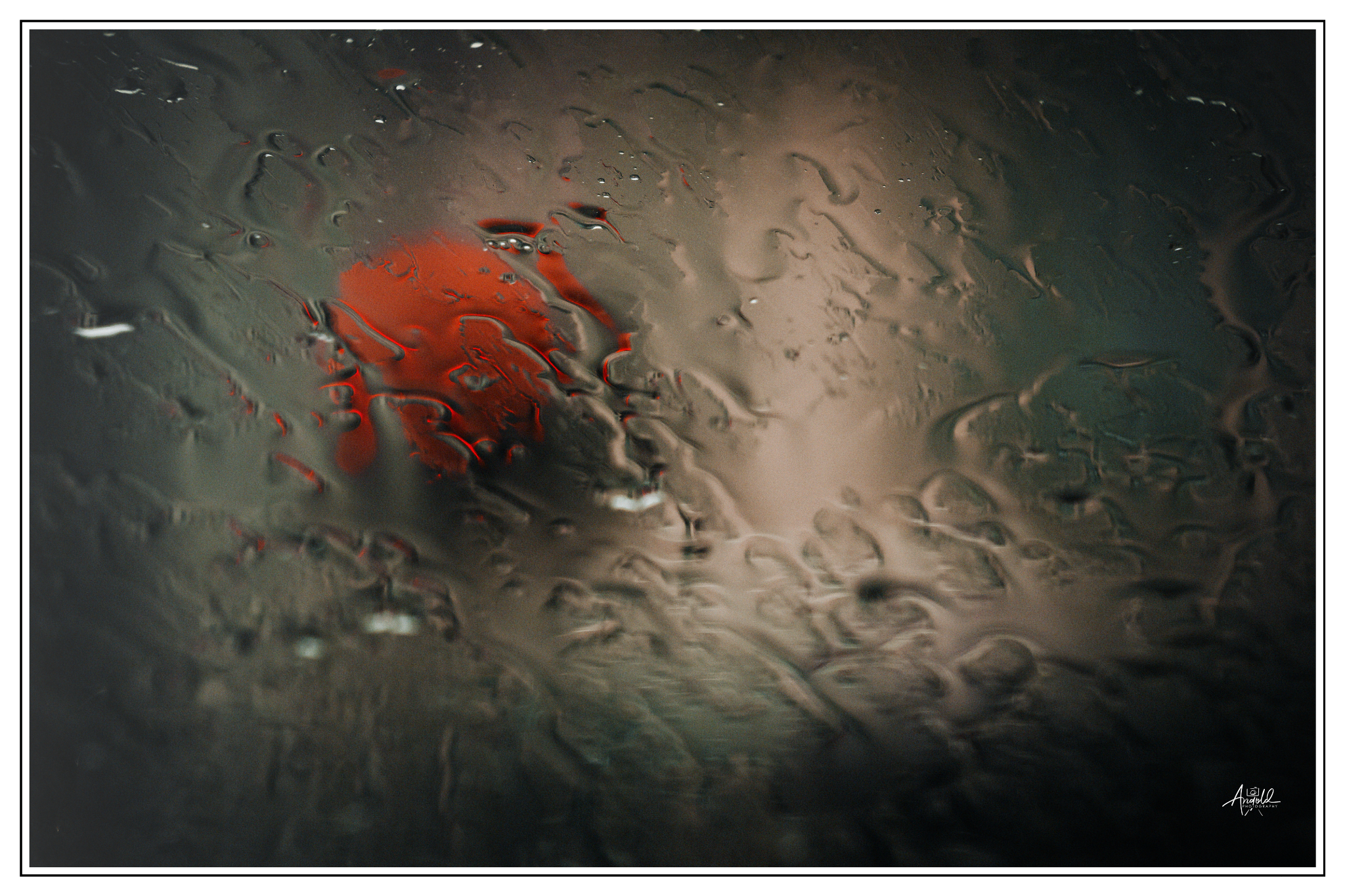 Dsc 1254 53248854661 o