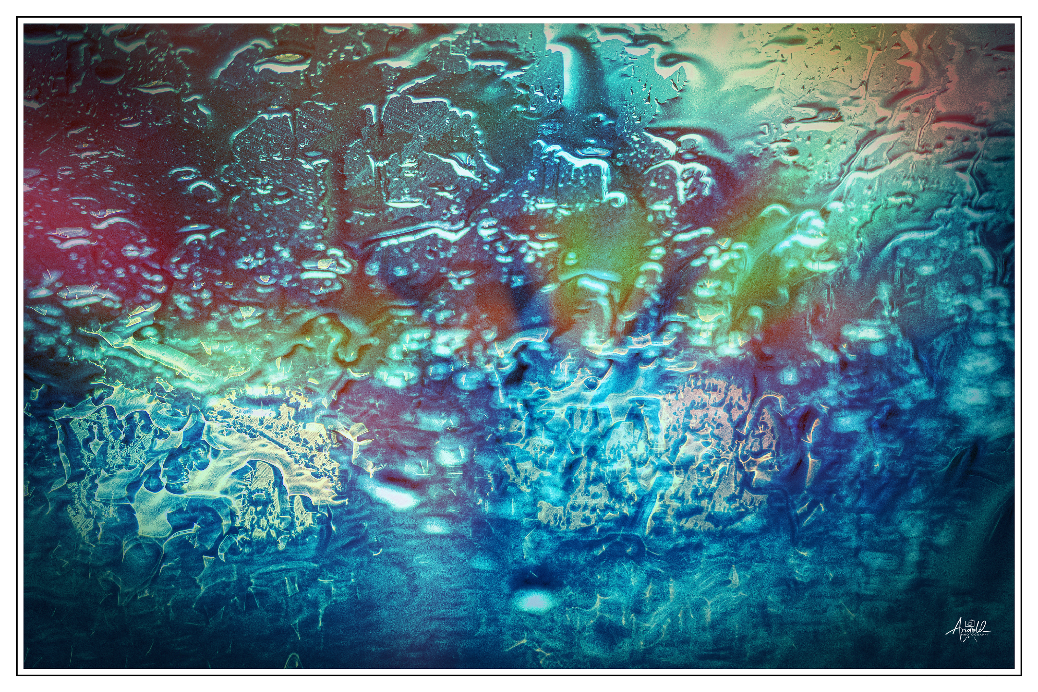 Dsc 1256 53247977842 o