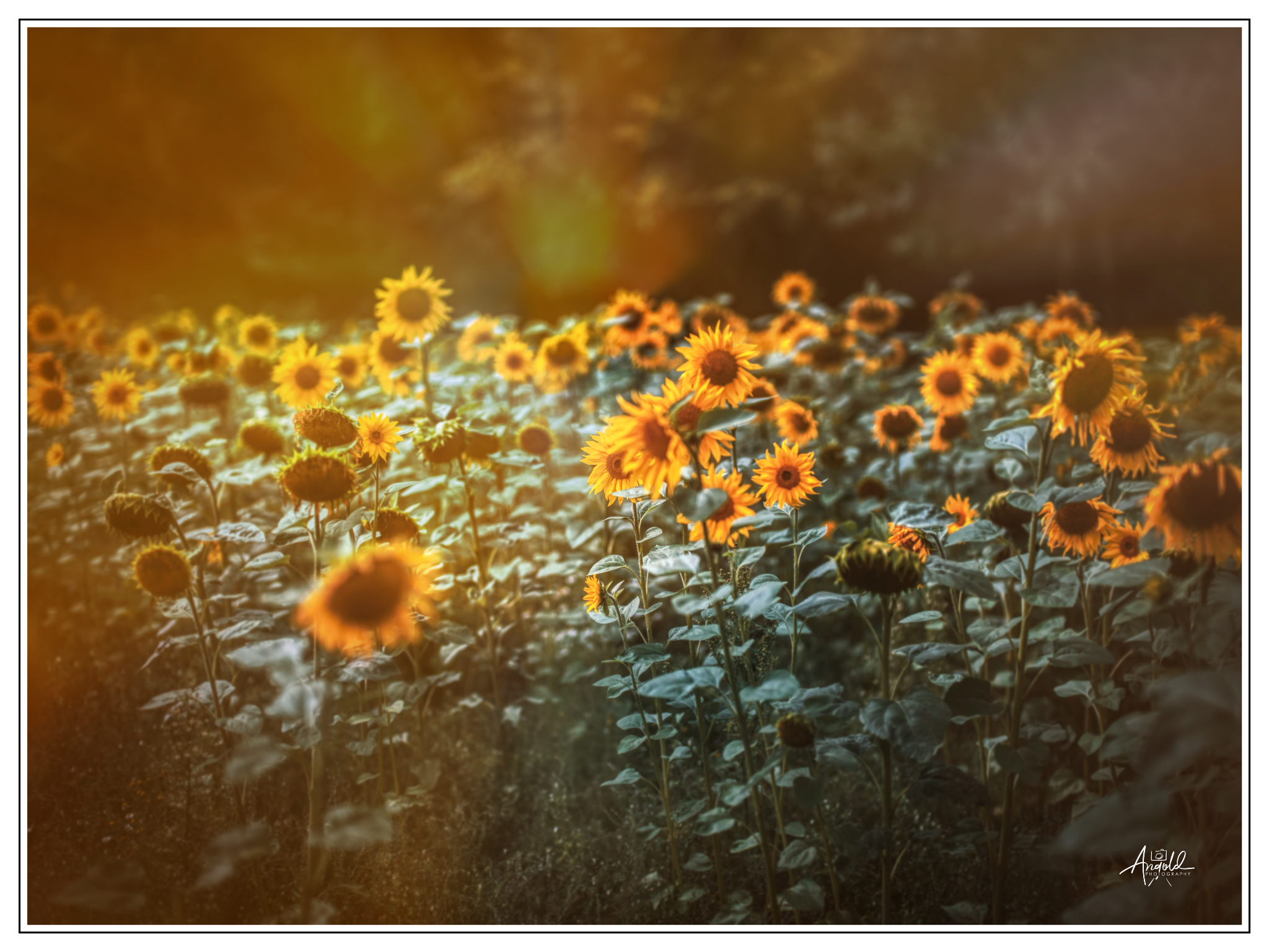 Dscf0820 53247976212 o