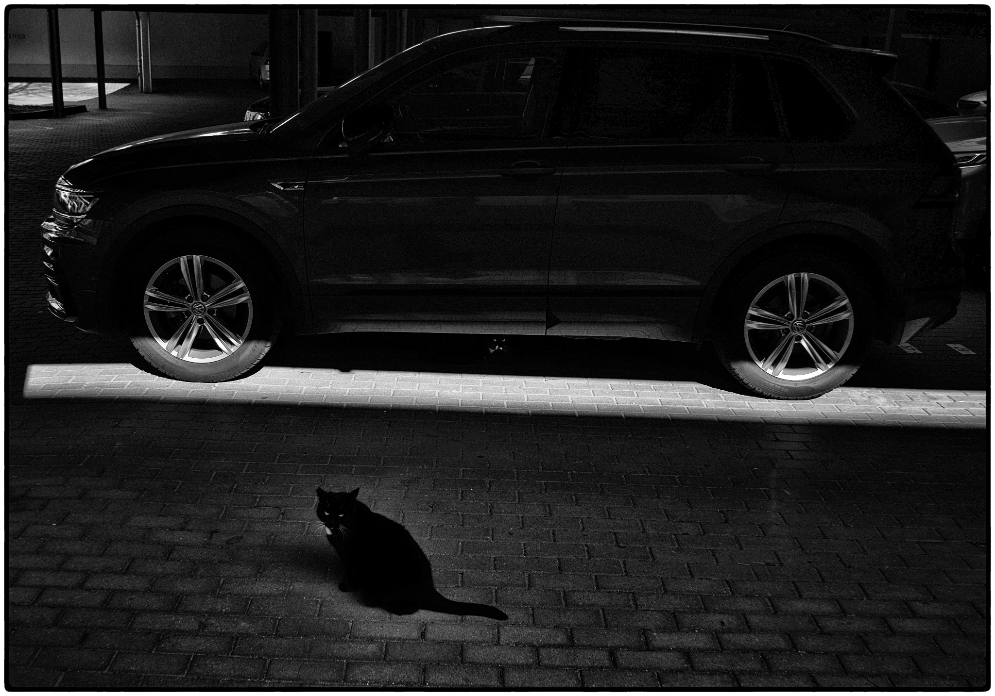 Dscf1029   kopie 52236307681 o