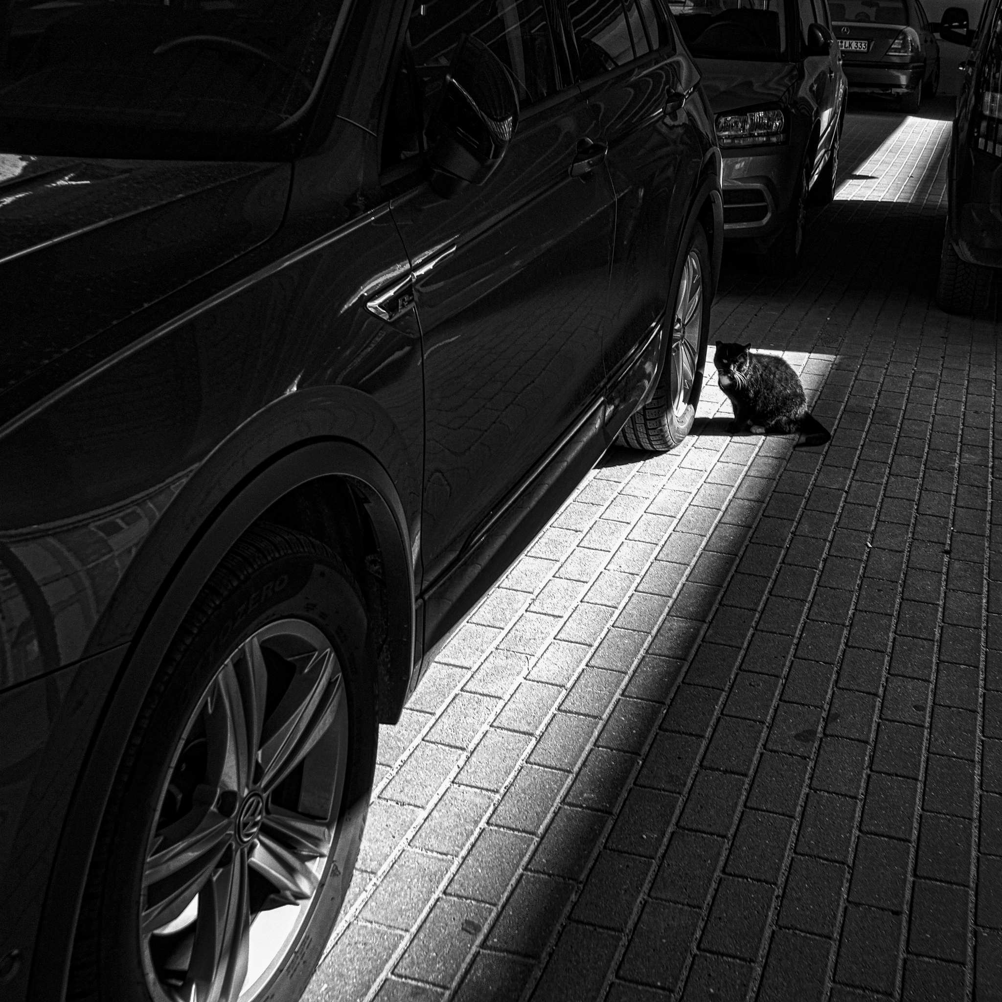 Dscf1031   kopie 52236307506 o