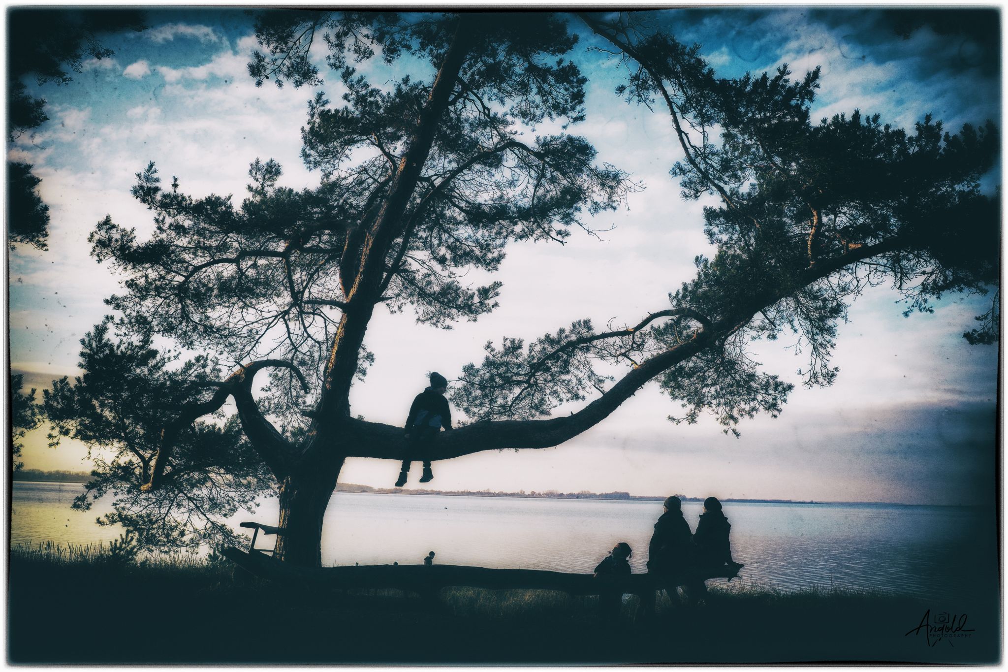 Dscf1081 49751803253 o