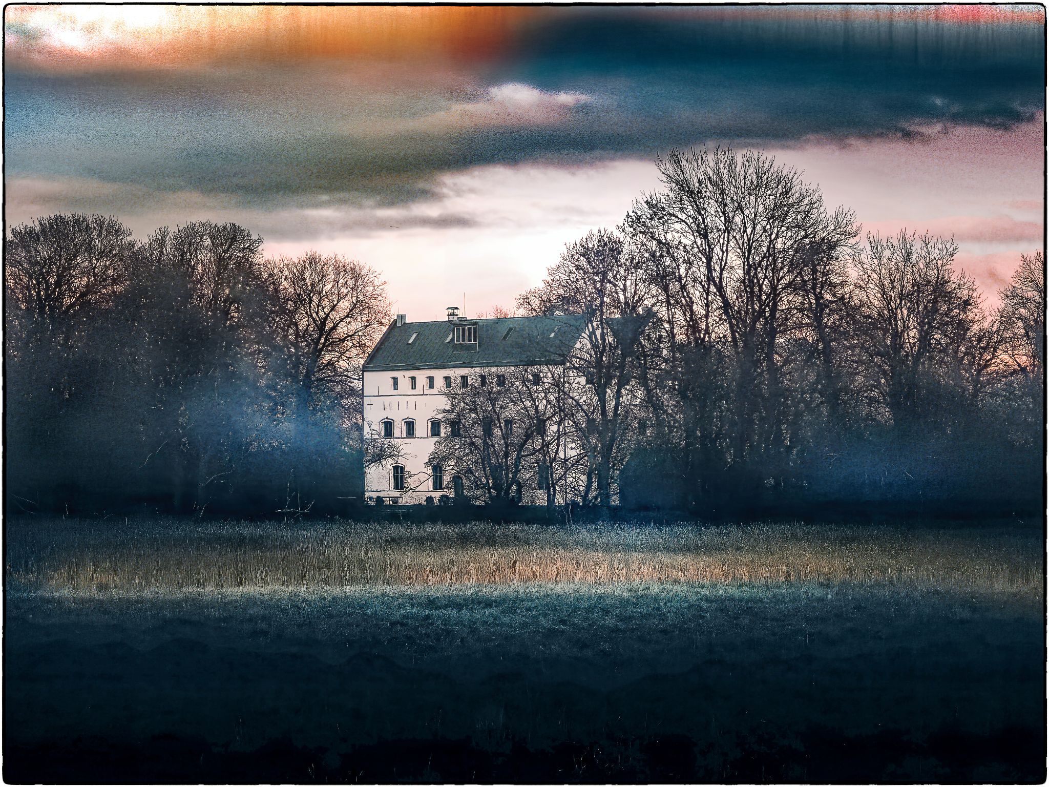 IMG 20251126 150553kl topaz denoise sharpen Nik DxO RealPhoto v3 x1 4500x3375 2pass MoreDetail v3 DxO